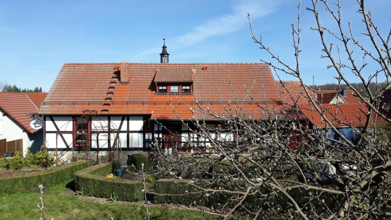 Pension Toepferhof Bad Berka Esterno foto